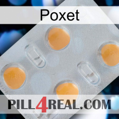 Poxet 24